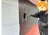外壁中塗り